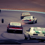 Cheval sauvage